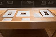 The Huntington Gallery exhibition of historical photography